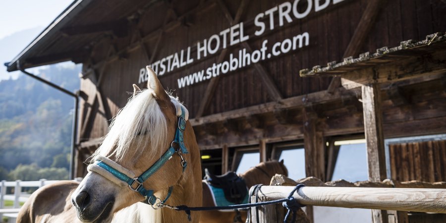 Das Sporthotel in Südtirol für Ihre Familie