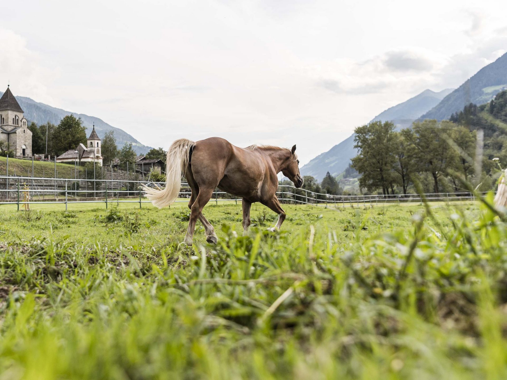 Your hotel in St. Leonhard in South Tyrol