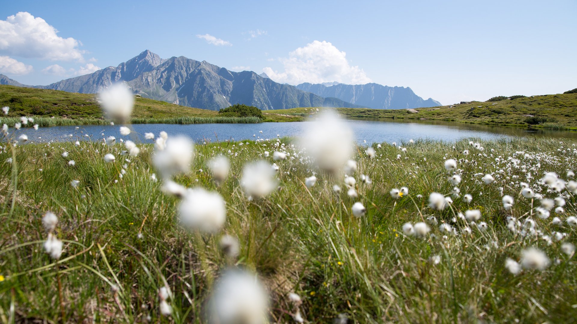 Fancy hiking in Val Passiria/Passeiertal?