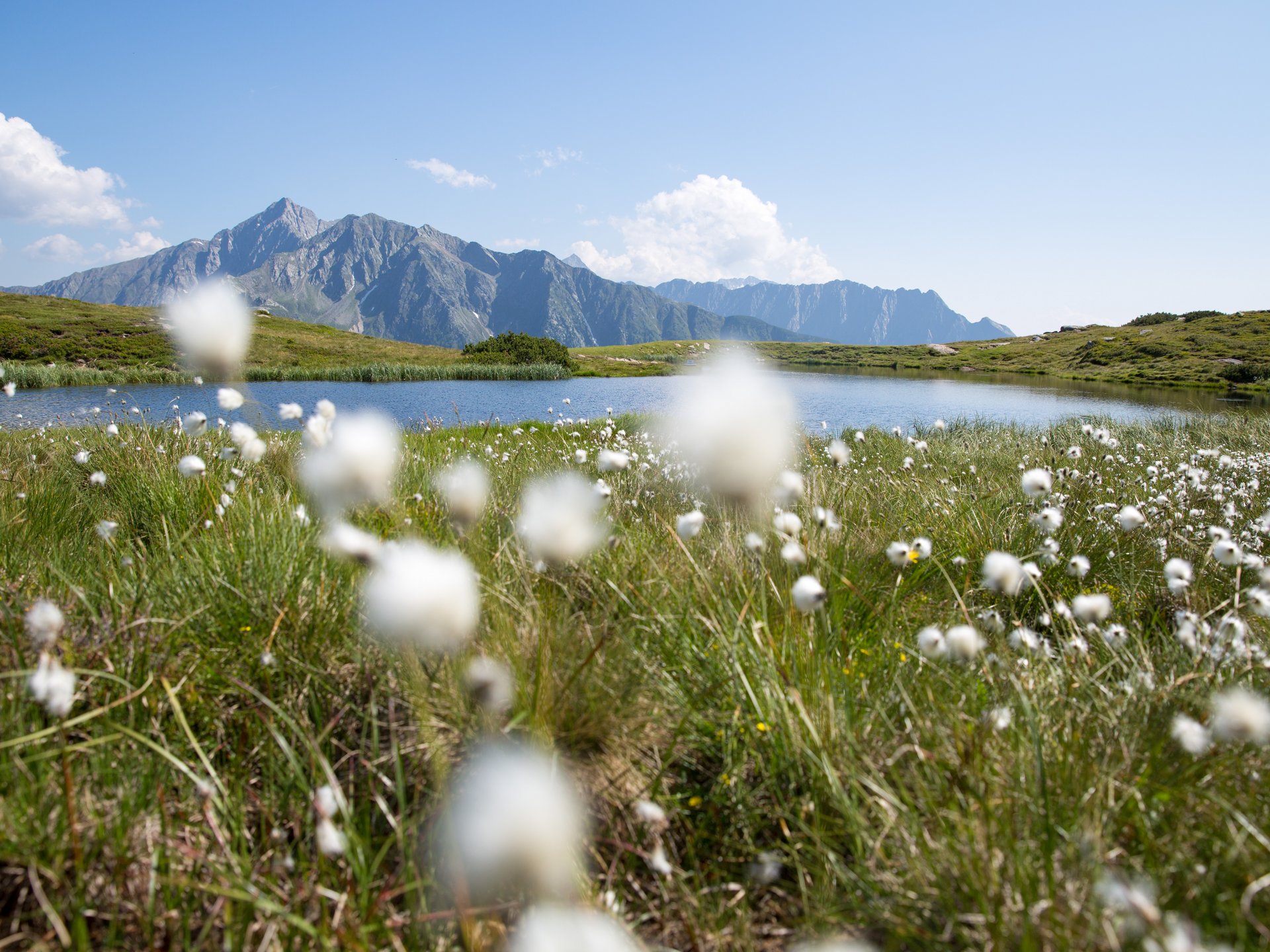 Il vostro hotel 4s in Alto Adige