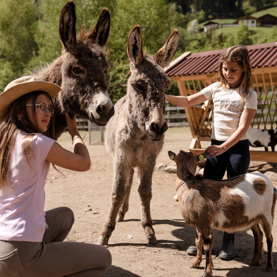 Hotel im Passeiertal für 4-Sterne-S-Urlaub