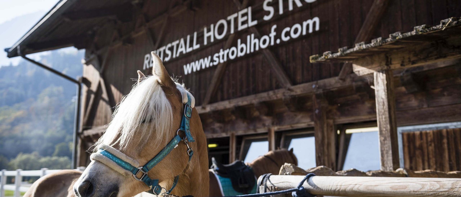The luxury hotel with riding centre and activity programme