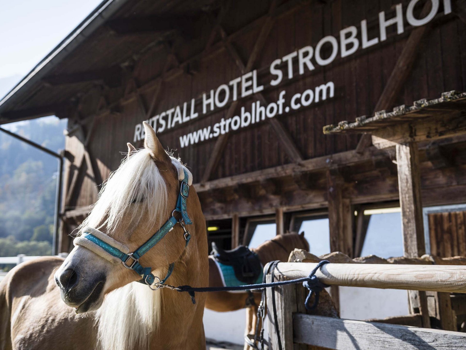 Ihr Hotel in St. Leonhard in Südtirol