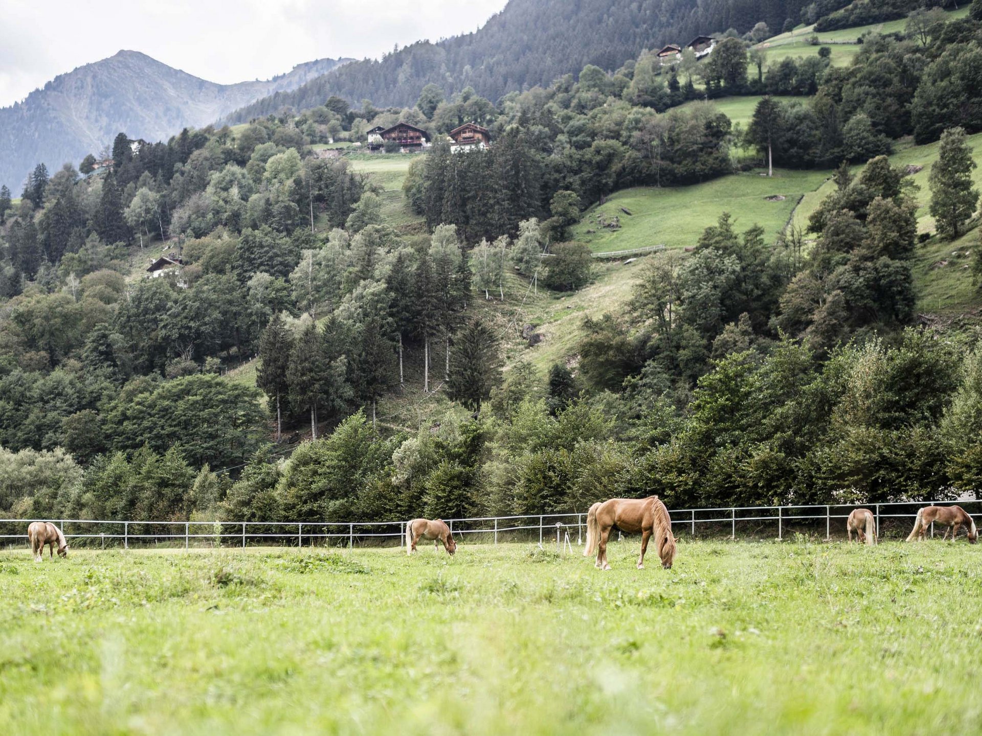 Ihr Hotel in St. Leonhard in Südtirol