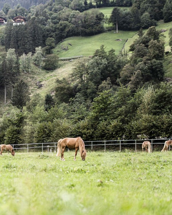 STROBLHOF: Ihr Hotel mit Kinderbetreuung in Südtirol