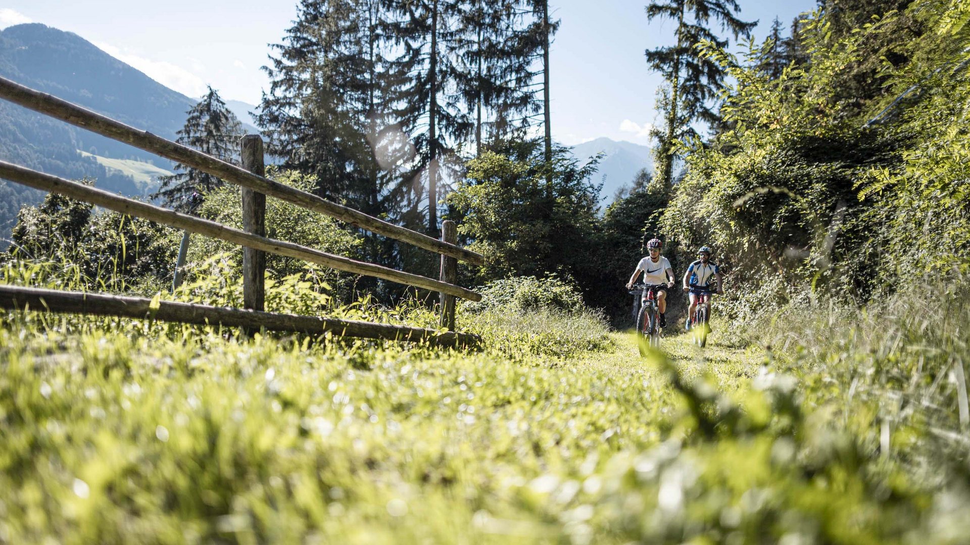 Con la mountain bike in Alto Adige