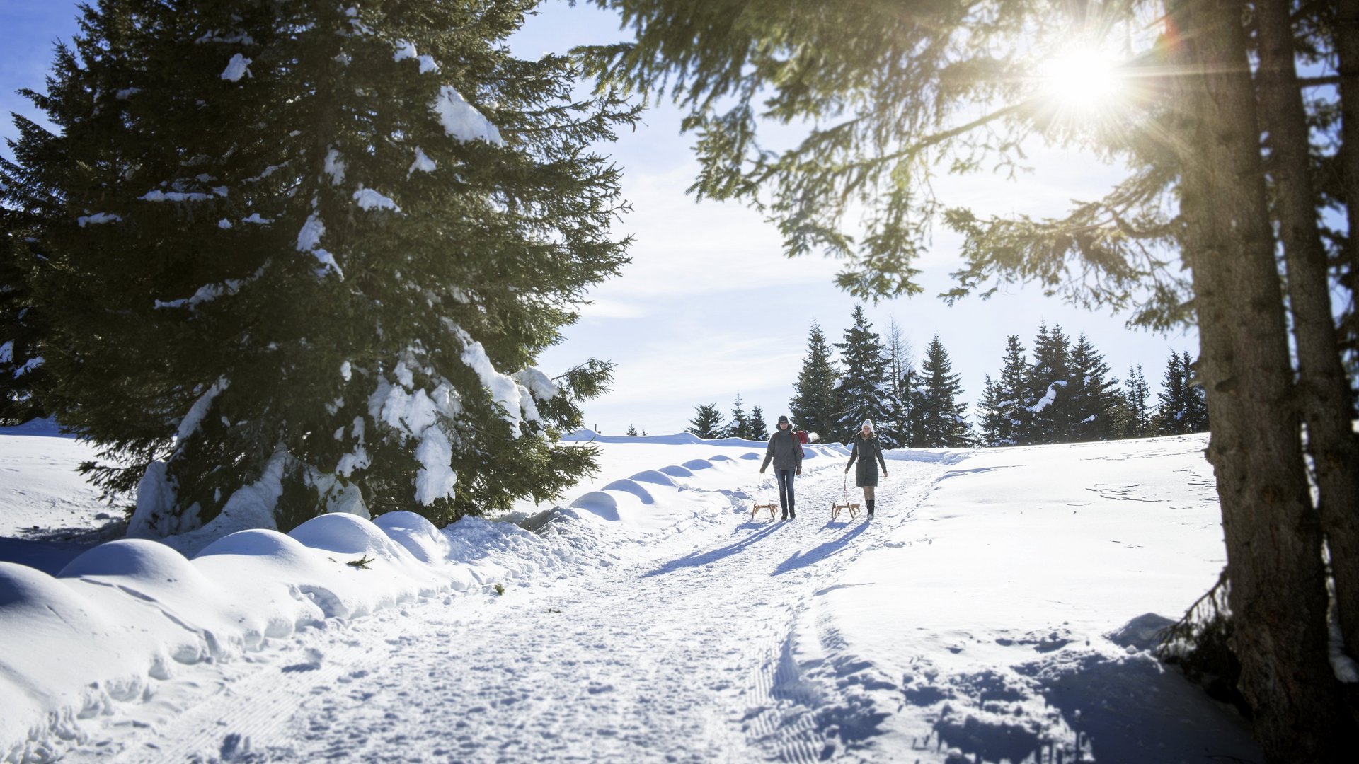 Piste da slittino in Alto Adige